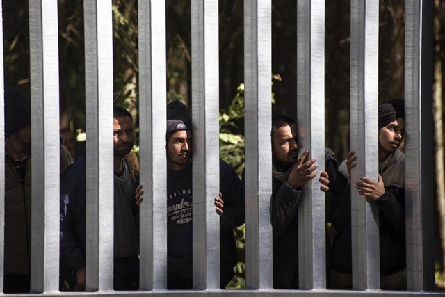 Archivo - Un grupo de migrantes apostados en la frontera entre Bielorrusia y Polonia.