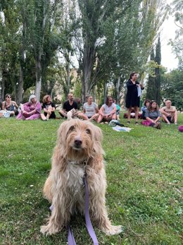 Encuentro en Logroño para iniciar acciones contra la derogación