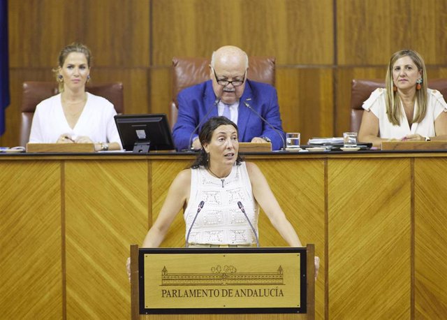 La consejera de Inclusión Social, Juventud, Familias e Igualdad, Loles López, en una foto de archivo en el Pleno del Parlamento andaluz.
