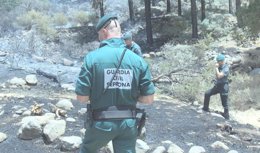 Agentes del Seprona investigan en la zona donde se ha producido el incendio de Tejeda (Gran Canaria)