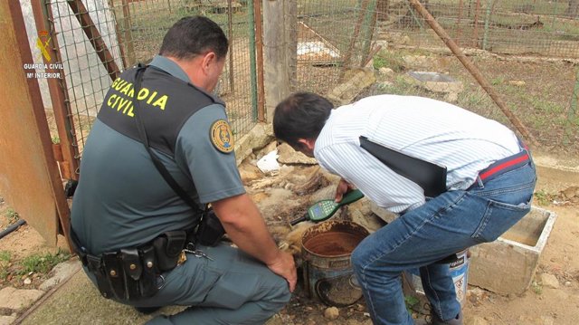 Agentes del Seprona de Aznalcóllar.