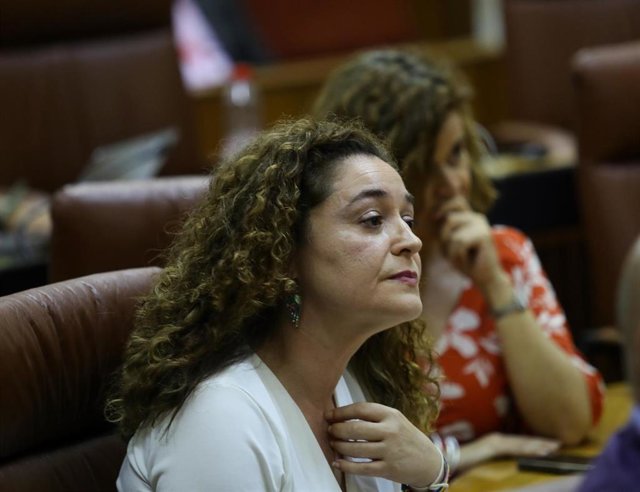 La portavoz del Grupo Por Andalucía, Inmaculada Nieto, en una foto de archivo en el Parlamento andaluz.