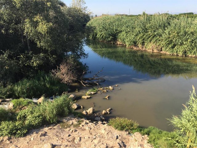 Archivo - Río Xúquer en imagen de archivo