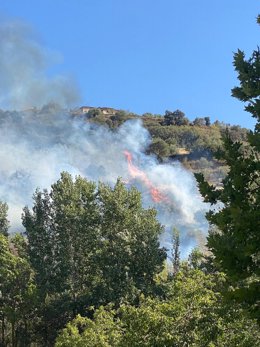 Primeras horas del incendio forestal declarado el viernes en Pinos Genil (Granada). Archivo.