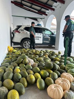 Agentes de la Guardia Civil con los frutos recuperados.