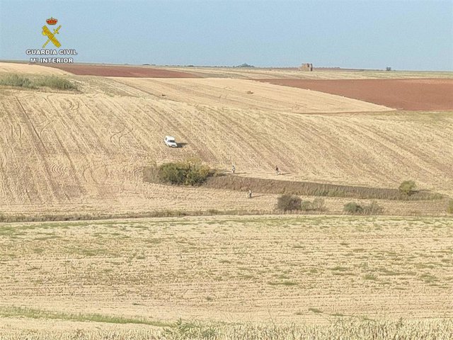 Actuación contra la caza ilegal con galgos en Quer.