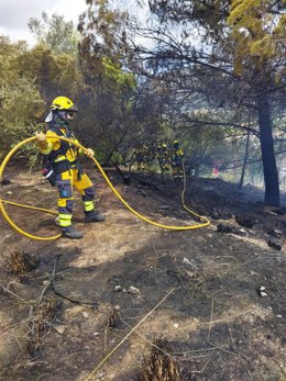 Un experto interviene en el incendio forestal en Selva.