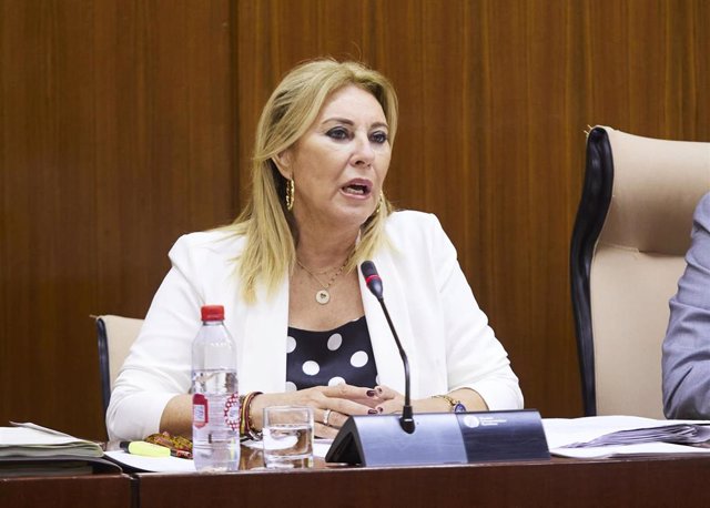 La consejera de Economía, Hacienda y Fondos Europeos, Carolina España, en comisión parlamentaria en una foto de archivo.