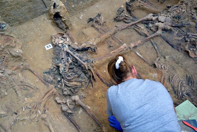 Archivo - Fosa en el cementerio de San Fernando (Cádiz)