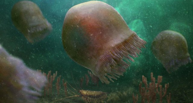Reconstrucción artística de un grupo de Burgessomedusa phasmiformis nadando en el mar Cámbrico.