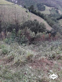 Lugar del accidente en el que un hombre ha muerto tras caer por un desnivel de 25 metros en Valdés