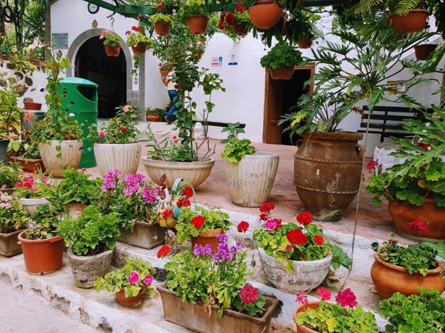 Finca La Laja en Agaete (Gran Canaria)