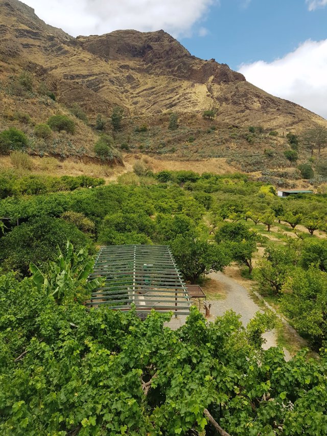 Finca Laja en el Valle de Agaete (Gran Canaria)