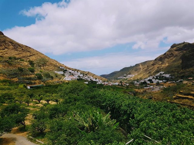 El café del Valle de Agaete, una joya única en Europa