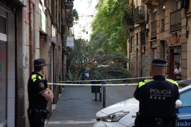 Bombers i Mossos d'Esquadra arriben al Raval de Barcelona on ha caigut una palmera a sobre d'una dona, a 3 d'agost de 2023, a Barcelona, Catalunya (Espanya). 