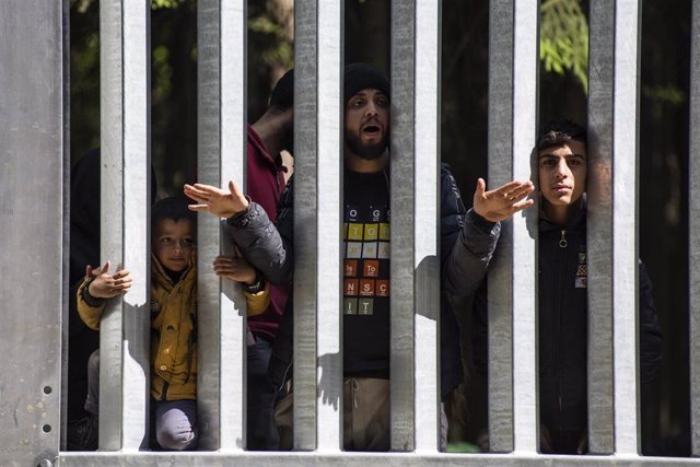 Archivo - Migrantes del lado bielorruso en la frontera con Polonia.