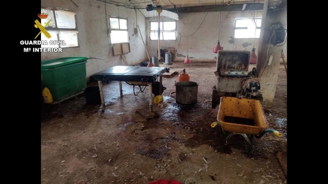 Matadero precintado en Zurgena (Almería).