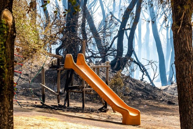 Vista del parque de las Canteras tras el incendio declarado este domingo en Puerto Real  a 07 de agosto del 2023 en Puerto Real (Cádiz, Andalucía). 