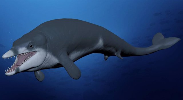 Recreación de la extinta ballena basilosáurido Tutcetus rayanensis nadando en el Océano Tethys del actual Egipto, hace 41 millones de años.