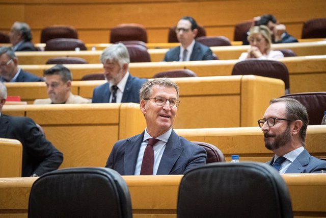 Archivo - El president del PP, Alberto Núñez Feijóo i el portaveu del Partit Popular al Senat, Javier Maroto, durant una sessió plenària al Senat (Madrid)