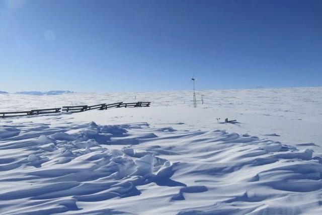 El experimento de la cerca de nieve ITEX en Toolik Field Station en Alaska.
