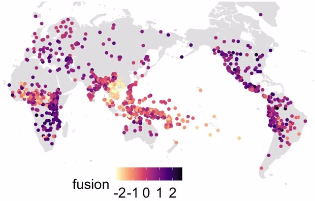 La distribución global de la complejidad gramatical (fusión). Los idiomas estrechamente relacionados se asemejan a las puntuaciones de los demás.