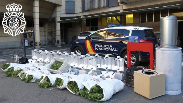 Un detenido tras desmantelar una plantación 'indoor' de marihuana en Carrascal de Barregas (Salamanca).