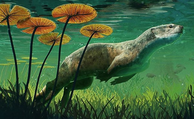 Impresión artística del tallo pinnípedo Potamotherium valletoni en su entorno natural de agua dulce.