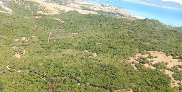 Imagen aérea del paraje Marchenilla, donde se ha originado el incendio forestal, ya controlado.
