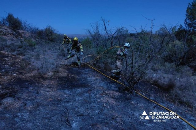 Bomberos de la DPZ colaboran en la extinción de un incendio forestal en Almonacid de la Sierra