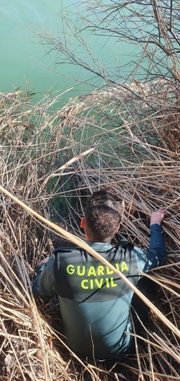 Archivo - Guardias civiles en el río Tajo.