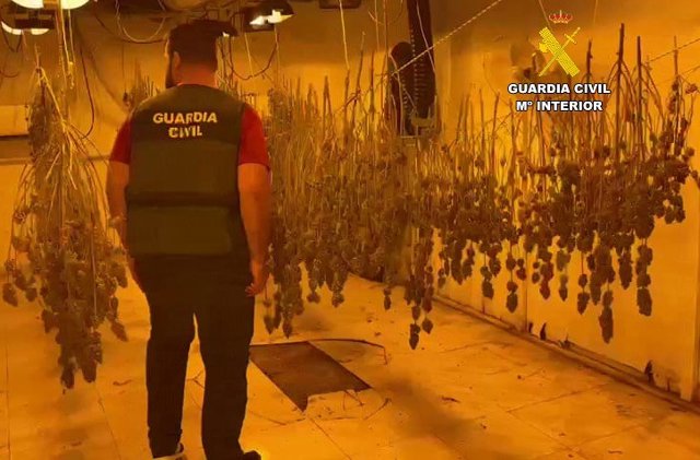 Una de las plantaciones desmanteladas en la operación 'Impacto' en Almería