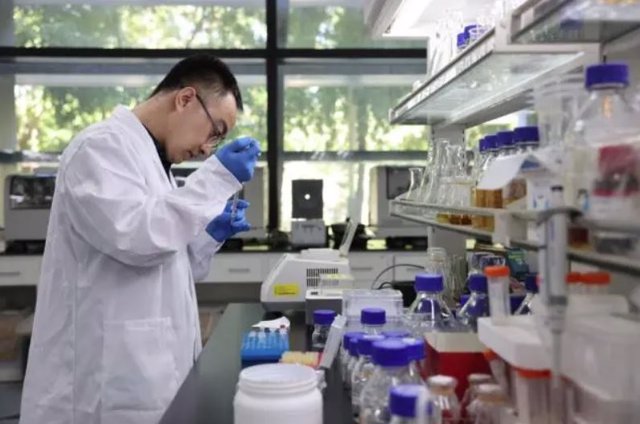 Una foto tomada el 13 de agosto de 2023 muestra a un investigador realizando un experimento en el laboratorio del Instituto de Biotecnología Industrial de Tianjin, Academia de Ciencias de China.