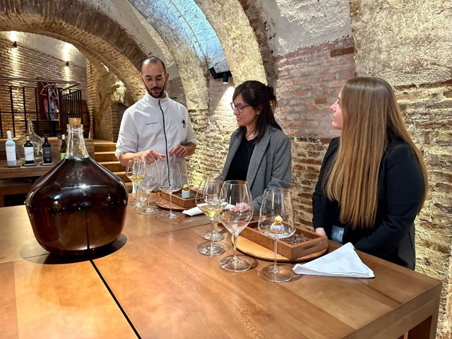 Vendimia Ruta del Vino Rueda