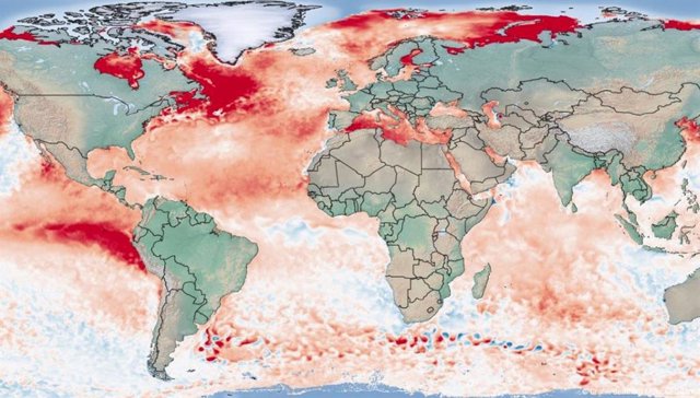 Anomalía de la temperatura de la superficie del mar el 31 de julio de 2023 (período de referencia 1985 a 2012; datos de NOAA/Coral Reef Watch).