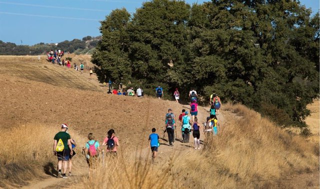 Un grupo de peregrinos por el Camino Mozárabe de Santiago.