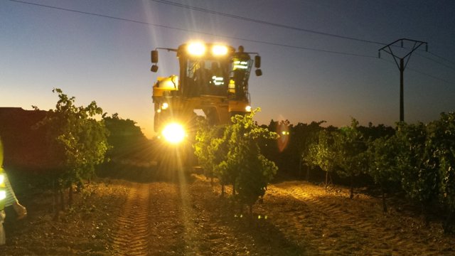 Ruta de Vino de Rueda