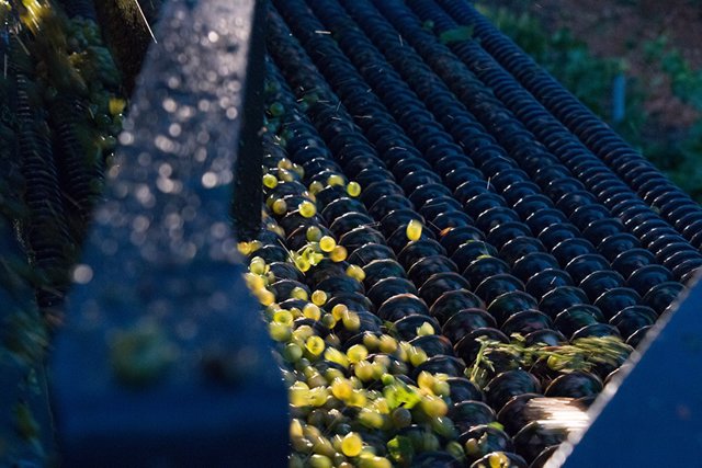 Ruta de Vino de Rueda