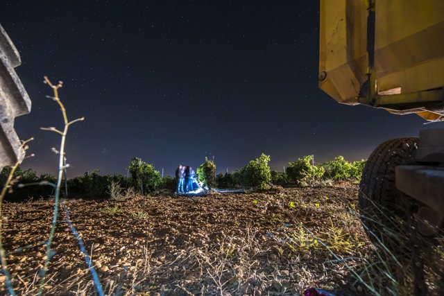 Vendimia Nocturna Vino de Rueda