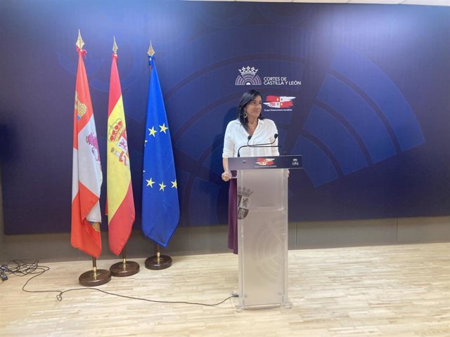 La secretaria de Organización del PSCyL, Ana Sánchez, durante su comparecencia hoy ante los medios.