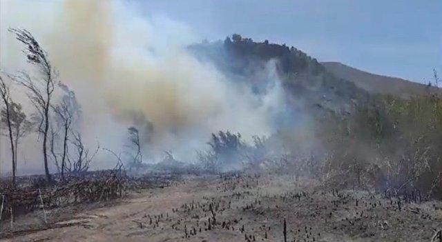 Amplían a siete los medios aéreos desplazados al incendio forestal declarado en un paraje de Órgiva