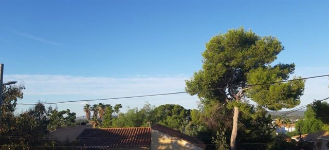Cielo poco nuboso o despejado