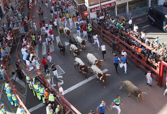 El cuarto encierro de las fiestas de San Sebastián de los Reyes en la calle Estafeta