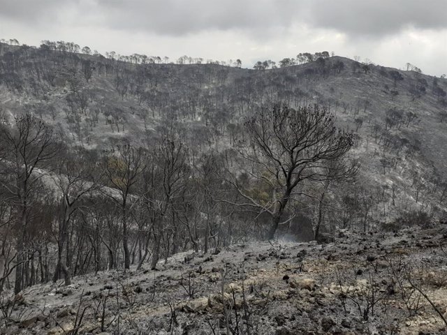 Archivo - Imagen de la superficie calcinada en el incendio de Los Guajares