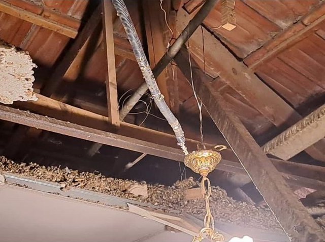 La lluvia y el viento provocan el hundimiento del techo de una vivienda en Elche