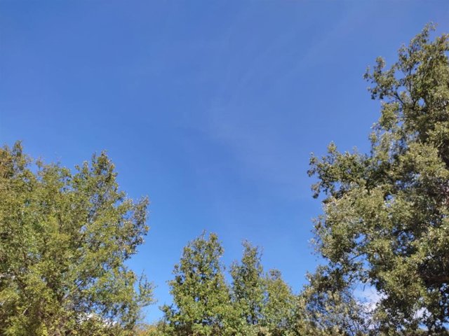 Cielo despejado este miércoles en Euskadi y temperaturas veraniegas
