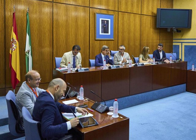 El consejero de Industria, Jorge Paradela, en la comisión parlamentaria de este miércoles.