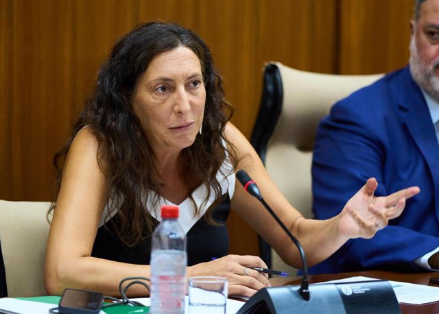 La consejera de Inclusión Social, Juventud, Familias e Igualdad, Loles López, en comisión parlamentaria