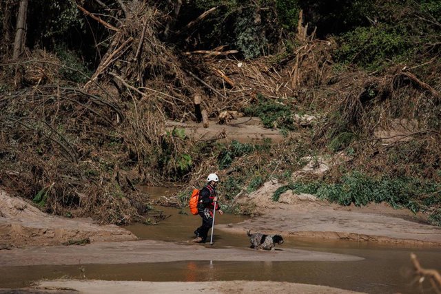 Un hombre trabaja en las labores de limpieza en el río Alberche, a 5 de septiembre de 2023, en Aldea del Fresno, Madrid (España).