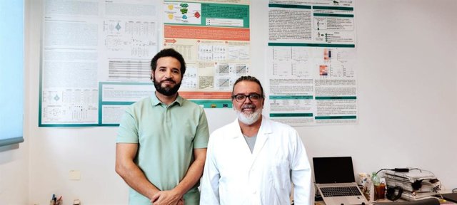 Los resultados de un reciente estudio de esta colaboración de grupos de investigación malagueño y madrileño revelan nuevas perspectivas sobre los efectos del aceite de oliva virgen extra y uno de sus componentes, el hidroxitirosol.